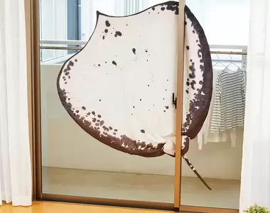 想被大大的魟魚溫柔包覆《魟魚毯》原寸大小正式商品化推出