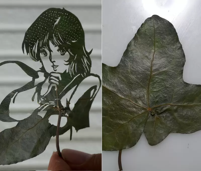 手穩心不慌《二次元人物樹葉雕刻》有保存期限的藝術創作 手穩心不慌《二次元人物樹葉雕刻》有保存期限的藝術創作
