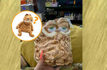 網友分享《讓人傻眼的網購商品》真空包裝的加菲貓讓我覺得好像是被蓄意棄屍一樣