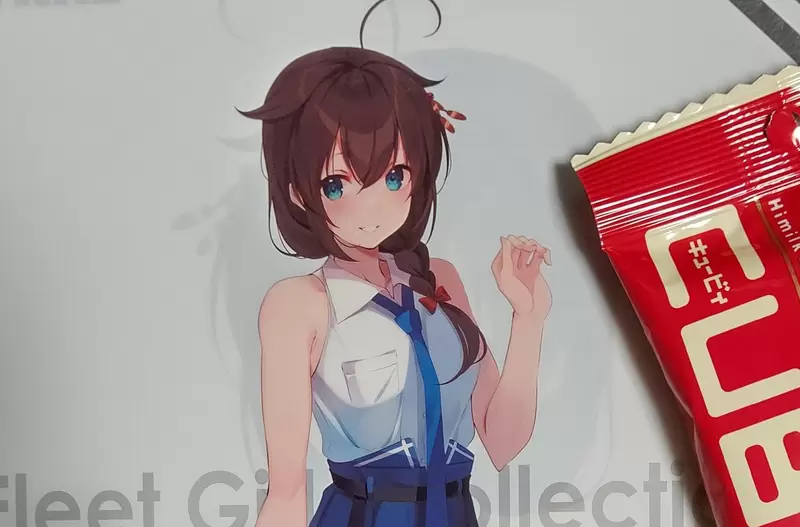 簡單一個小步驟《替艦隊收藏資料夾加上胸罩》滿滿的小確幸就從一張A4紙開始 簡單一個小步驟《替艦隊收藏資料夾加上胸罩》滿滿的小確幸就從一張A4紙開始