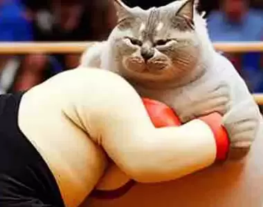 《讓AI畫「相撲」的結果》屁股噴鹽、捅人屁股 原來相撲是這種運動啊……