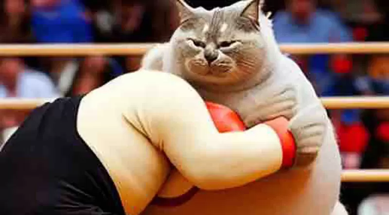 《讓AI畫「相撲」的結果》屁股噴鹽、捅人屁股 原來相撲是這種運動啊…… 《讓AI畫「相撲」的結果》屁股噴鹽、捅人屁股 原來相撲是這種運動啊……