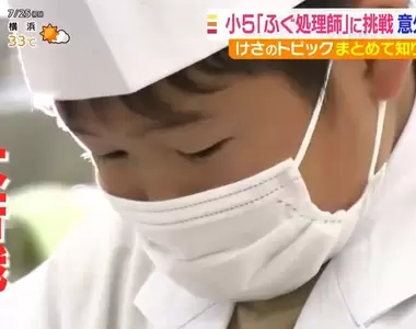 《小學生挑戰河豚處理師》夢想能夠親手料理劇毒美食 跟著大人們苦練的結果是……