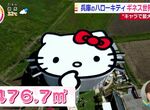 《世界最大Hello Kitty屋頂》日本觀光設施獲得金氏世界紀錄認證 旁邊還有最大的蘋果屋 《世界最大Hello Kitty屋頂》日本觀光設施獲得金氏世界紀錄認證 旁邊還有最大的蘋果屋