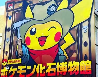 日本展覽《寶可夢化石博物館展》1:1寶可夢化石也太可愛了吧