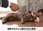 《一舉兩得逗貓棒》飼主跟寵物一起健身 同時解決人貓缺乏運動的問題 《一舉兩得逗貓棒》飼主跟寵物一起健身 同時解決人貓缺乏運動的問題