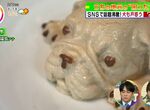 《獵奇美食的誕生祕密》法國鬥牛犬奶凍靠著逼真血腥爆紅 當初店員都吐槽店長絕對沒人買 《獵奇美食的誕生祕密》法國鬥牛犬奶凍靠著逼真血腥爆紅 當初店員都吐槽店長絕對沒人買