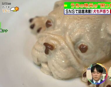 《獵奇美食的誕生祕密》法國鬥牛犬奶凍靠著逼真血腥爆紅 當初店員都吐槽店長絕對沒人買