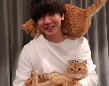 《花江家的貓 金平與味噌》不是聲優花江夏樹是他的貓推出寫真集，11月17日開賣