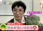《菜農傳授青花菜3大冷知識》放在冰箱蔬果室是錯誤示範?比起水煮用蒸的更好吃? 《菜農傳授青花菜3大冷知識》放在冰箱蔬果室是錯誤示範?比起水煮用蒸的更好吃?