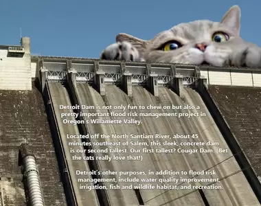 美國陸軍工兵部隊推出《2023年搞笑貓貓月曆》輕鬆介紹公共工程建設而且還無料下載喔