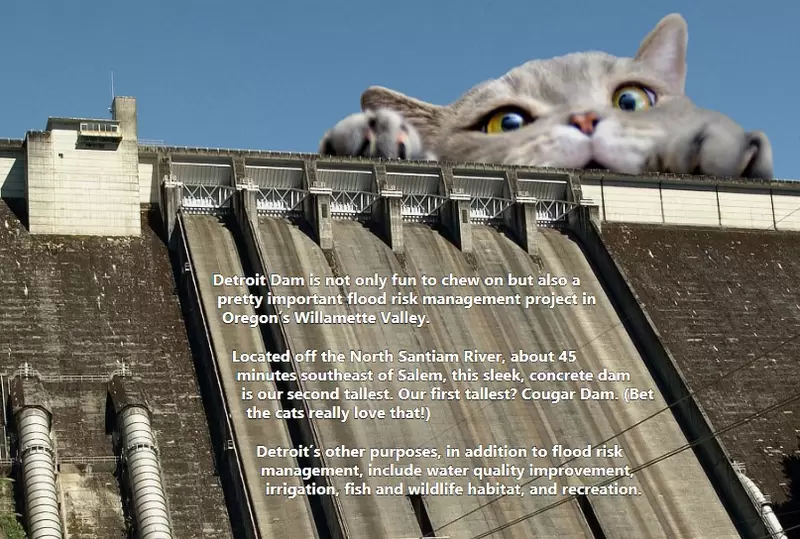 美國陸軍工兵部隊推出《2023年搞笑貓貓月曆》輕鬆介紹公共工程建設而且還無料下載喔