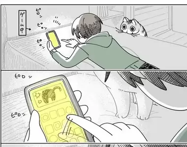 《貓貓的佔有慾表現》玩手機的時候就愛搶走主人的手手