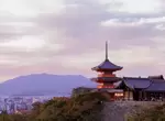 網友票選《去京都一定要造訪的寺院、神社排名》2022年最新調查結果揭曉 網友票選《去京都一定要造訪的寺院、神社排名》2022年最新調查結果揭曉