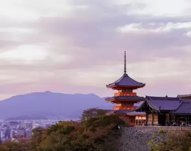 網友票選《去京都一定要造訪的寺院、神社排名》2022年最新調查結果揭曉