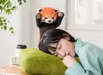 《小貓熊威嚇午睡枕》保持警覺性讓你午休時間不輕易睡過頭 《小貓熊威嚇午睡枕》保持警覺性讓你午休時間不輕易睡過頭