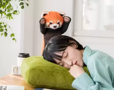 《小貓熊威嚇午睡枕》保持警覺性讓你午休時間不輕易睡過頭