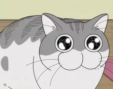 《斜槓動畫師蘆名實》如何同時兼顧獸醫和動畫工作？其實兩種職業出乎意料地相似