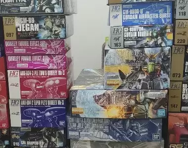 《模型迷的收藏被老婆丟光了》新品鋼普拉全部拆封砸爛 老婆爆氣原因引發網友議論