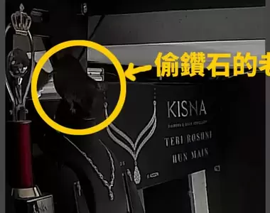 珠寶店鑽石失竊案《犯人是偷鑽石的老鼠》監視器清楚拍下作案全部過程