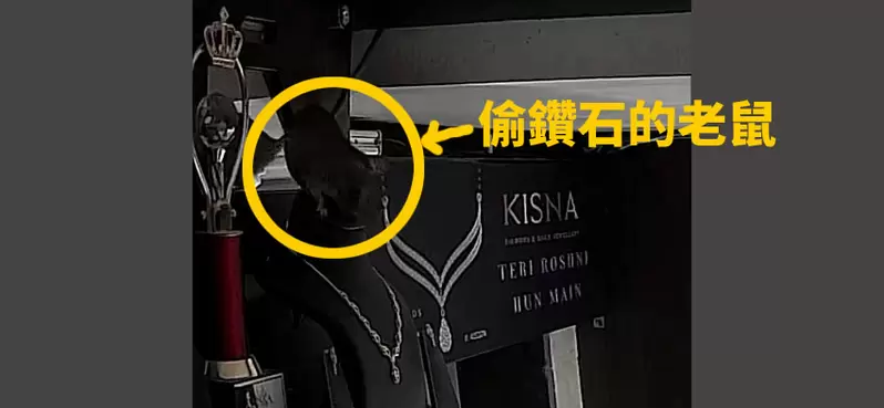 珠寶店鑽石失竊案《犯人是偷鑽石的老鼠》監視器清楚拍下作案全部過程 珠寶店鑽石失竊案《犯人是偷鑽石的老鼠》監視器清楚拍下作案全部過程