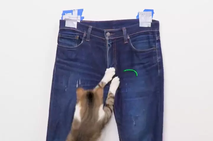 《用貓貓製作破壞牛仔褲的方法》喵的勒原來這麼簡單喔