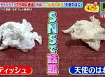 《像是垃圾的零食「天使之羽」》意外誕生的極品美味 跟衛生紙團擺在一起根本分不清 《像是垃圾的零食「天使之羽」》意外誕生的極品美味 跟衛生紙團擺在一起根本分不清