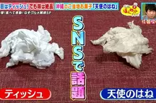 《像是垃圾的零食「天使之羽」》意外誕生的極品美味 跟衛生紙團擺在一起根本分不清