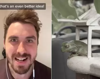 《網友替住在欄杆上的青蛙做房子》經過網友建議不斷升級版本,最終變成了一處蛙蛙王國