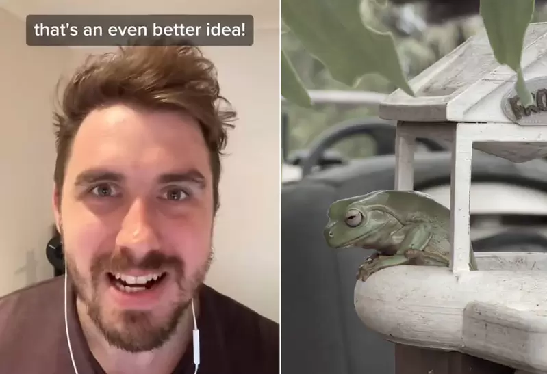 《網友替住在欄杆上的青蛙做房子》經過網友建議不斷升級版本，最終變成了一處蛙蛙王國