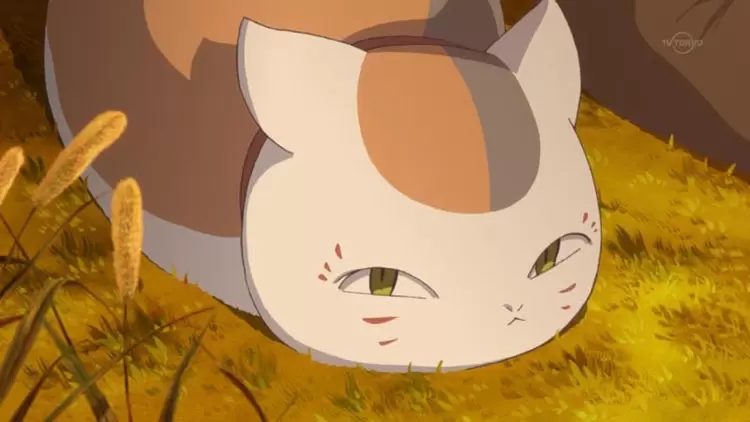 網友票選《覺得最可愛的動漫貓貓角色》舒舒服服軟軟綿綿,試問到底有誰能不愛❤ 網友票選《覺得最可愛的動漫貓貓角色》舒舒服服軟軟綿綿,試問到底有誰能不愛❤