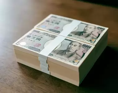 日本札幌垃圾場發現《丟失的1000萬日幣》結果最終冒出十幾位失主來認領,大家都說不小心弄丟了= =