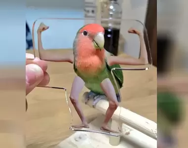 惡搞創意商品《手足壓克力鑰匙圈》貼在任何東西上都能呈現有趣的畫面