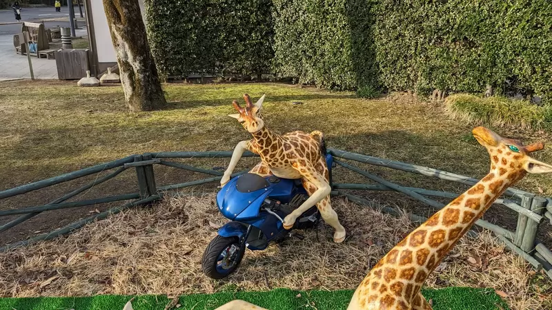 《玩開了的長頸鹿模型》日本某公園內讓網友感到衝擊的震撼畫面 《玩開了的長頸鹿模型》日本某公園內讓網友感到衝擊的震撼畫面