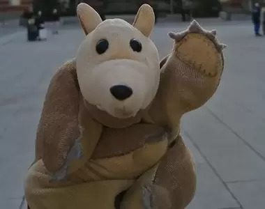 《陪伴20年的布偶失蹤了》日本網友直呼人生不能沒有牠 全網協尋總算有了好結局