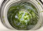 《萵苣丟進洗衣機的人》太累犯傻引發的悲劇 日本網友們丟過千奇百怪的東西進去洗…… 《萵苣丟進洗衣機的人》太累犯傻引發的悲劇 日本網友們丟過千奇百怪的東西進去洗……