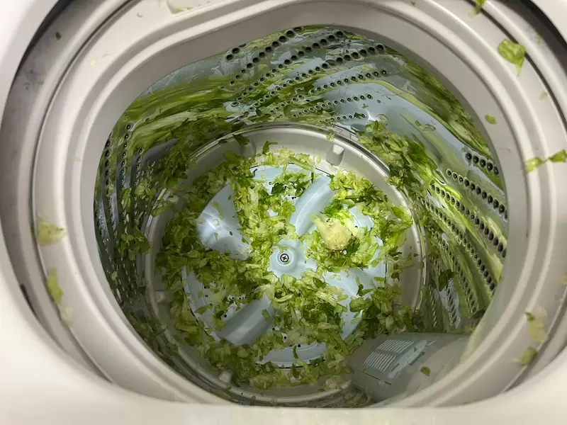 《萵苣丟進洗衣機的人》太累犯傻引發的悲劇 日本網友們丟過千奇百怪的東西進去洗…… 《萵苣丟進洗衣機的人》太累犯傻引發的悲劇 日本網友們丟過千奇百怪的東西進去洗……