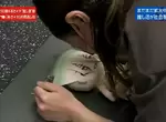 《專為宅女打造的健身房》借助偶像的力量督促妳 保證天天都有健身的幹勁 《專為宅女打造的健身房》借助偶像的力量督促妳 保證天天都有健身的幹勁