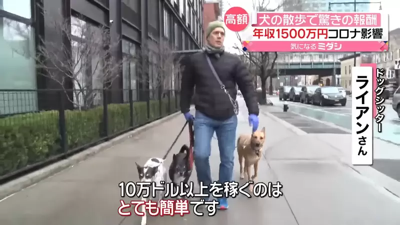 讓人羨慕的新職業《遛狗保母》專職遛狗人員年收入10萬美金,這難道就是最理想的工作? 讓人羨慕的新職業《遛狗保母》專職遛狗人員年收入10萬美金,這難道就是最理想的工作?