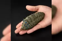 TAKEYA式自在置物《風之谷 迷你尺寸王蟲》訂購開始預計2023年8月推出