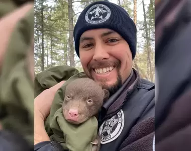 優質工作又一項《抱熊保育員》只要熊媽媽有睡著,基本上這項工作沒有危險性