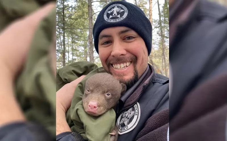 優質工作又一項《抱熊保育員》只要熊媽媽有睡著,基本上這項工作沒有危險性 優質工作又一項《抱熊保育員》只要熊媽媽有睡著,基本上這項工作沒有危險性