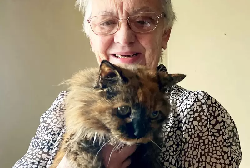 世界最年長的貓《32歲的母貓Rosie》貓貓的一生都十分健康，到現在也只看過兩次獸醫