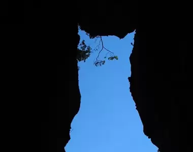 《因禍得福的「免之石」》沒了石頭卻多了貓咪？日本地震災區得到更強大的觀光資源