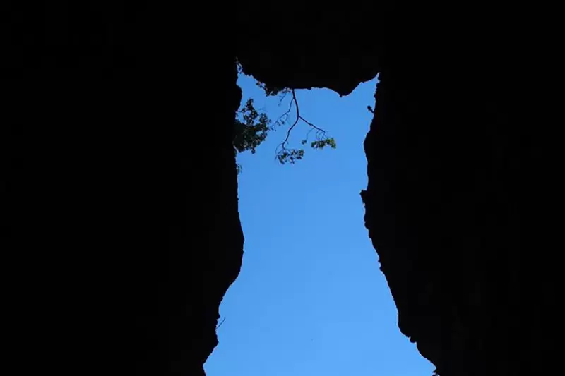 《因禍得福的「免之石」》沒了石頭卻多了貓咪?日本地震災區得到更強大的觀光資源 《因禍得福的「免之石」》沒了石頭卻多了貓咪?日本地震災區得到更強大的觀光資源