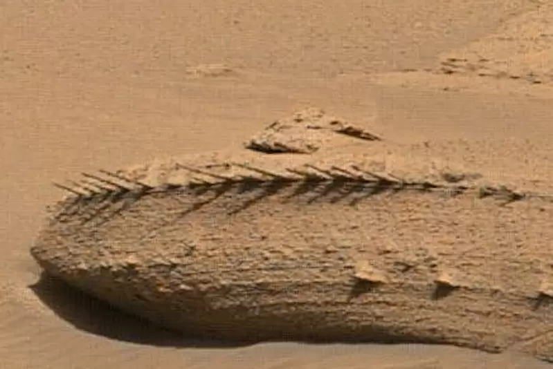 《火星發現不明巨大物體》網友猜測這該不會是某種生物的遺骸吧!? 《火星發現不明巨大物體》網友猜測這該不會是某種生物的遺骸吧!?