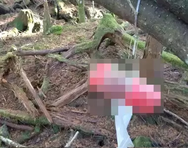《日本自殺勝地出現TENGA》能夠發揮防治自殺的奇效?笑過又「去」過就不想尋死了