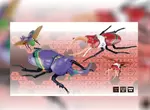 蟲型泛用決戰兵器《EVA配色款獨角仙和鍬形蟲》富士美自由研究系列推出新配色版蟲蟲拼裝模型 蟲型泛用決戰兵器《EVA配色款獨角仙和鍬形蟲》富士美自由研究系列推出新配色版蟲蟲拼裝模型