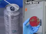 實測《市面上罐裝飲料的細菌數量》常常嘴巴長泡疹嗎?會不會是你每次喝飲料時都沒擦呢? 實測《市面上罐裝飲料的細菌數量》常常嘴巴長泡疹嗎?會不會是你每次喝飲料時都沒擦呢?