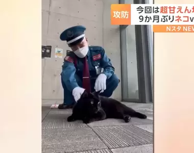 尾道市立美術館《警衛與黑貓的攻防戰》睽違九個月之後貓貓想到新招,能夠終止連敗紀錄嗎?